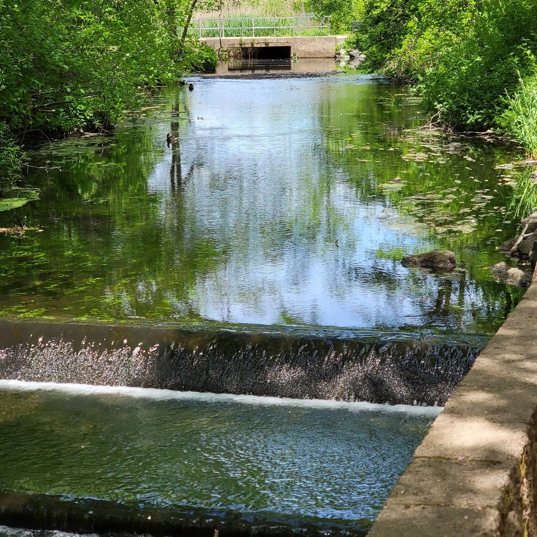 Massapequa Park 1