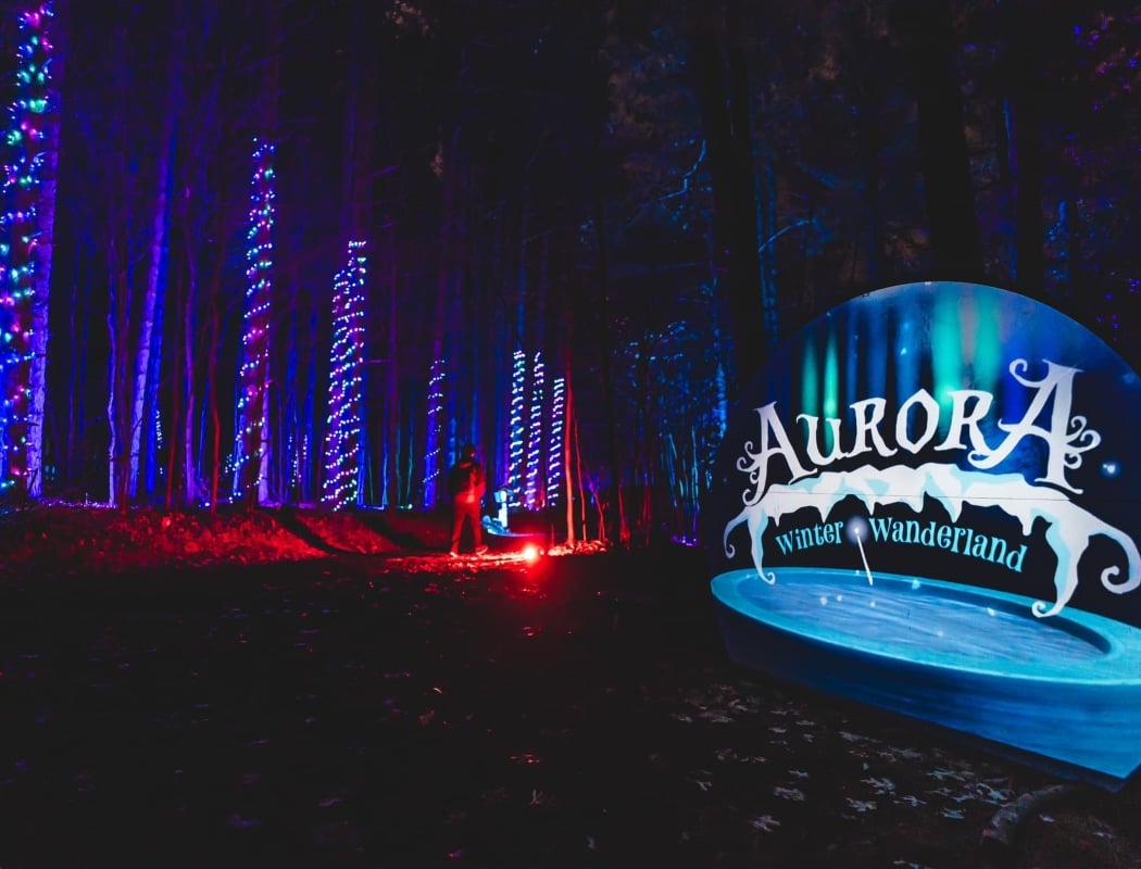 Aurora: Winter Wizards 2