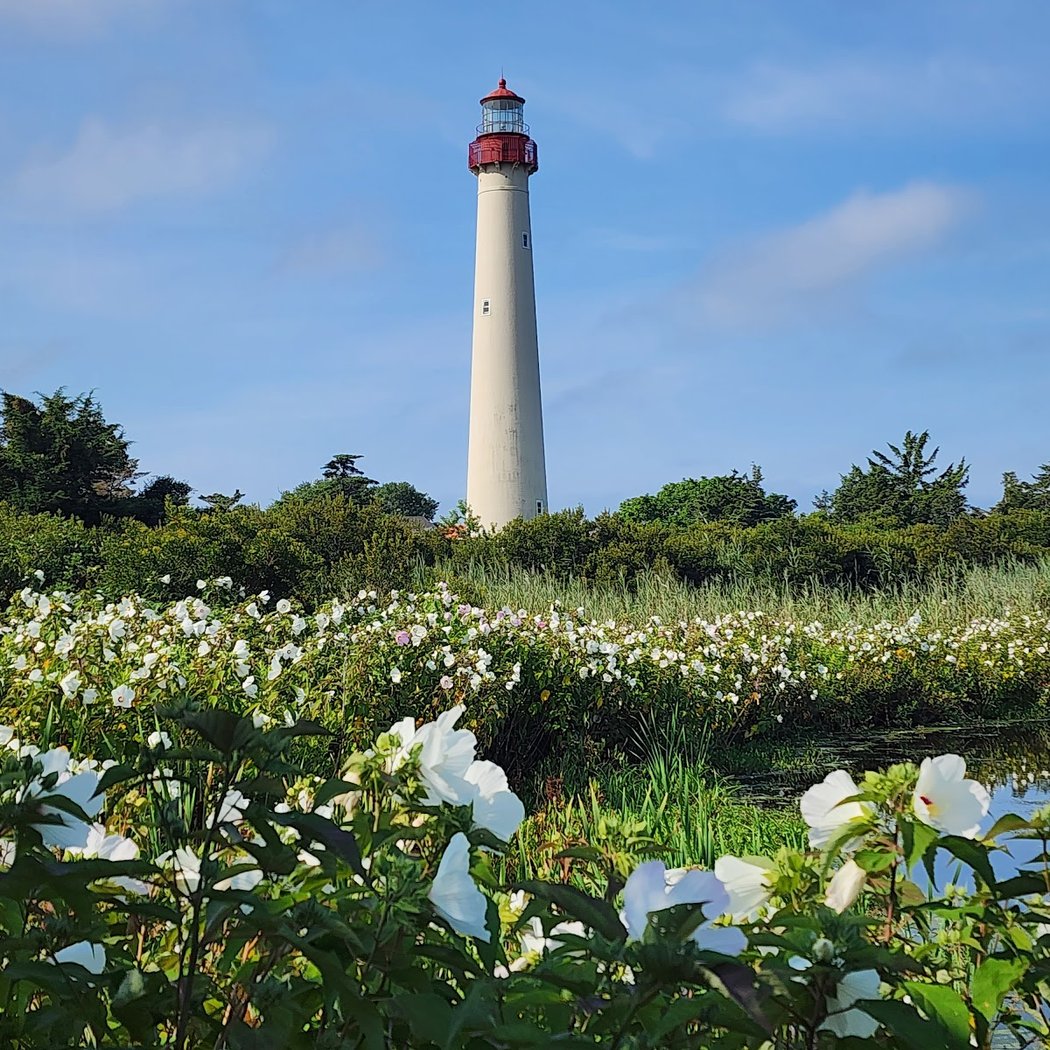 Cape May Point State Park 1