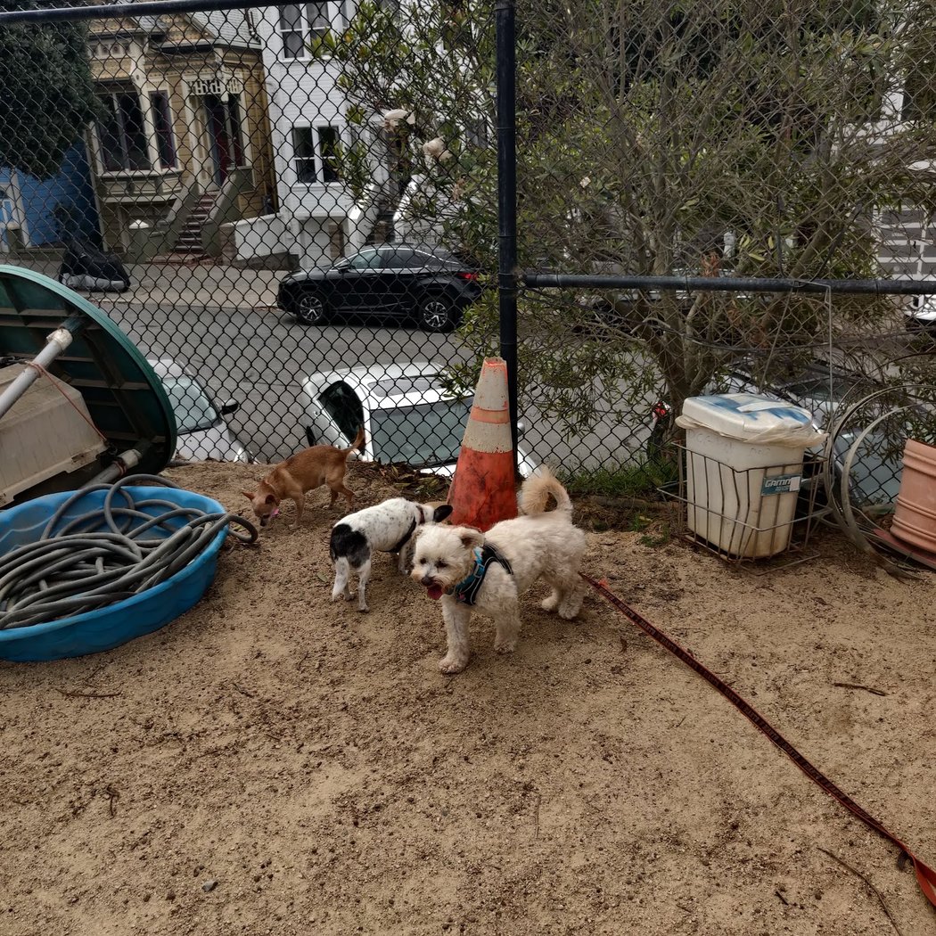 Upper Noe Dog Play Area 3