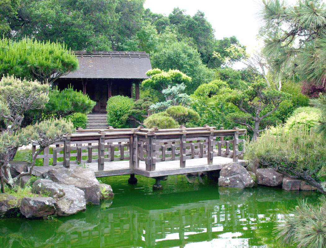 Hayward Japanese Gardens 3