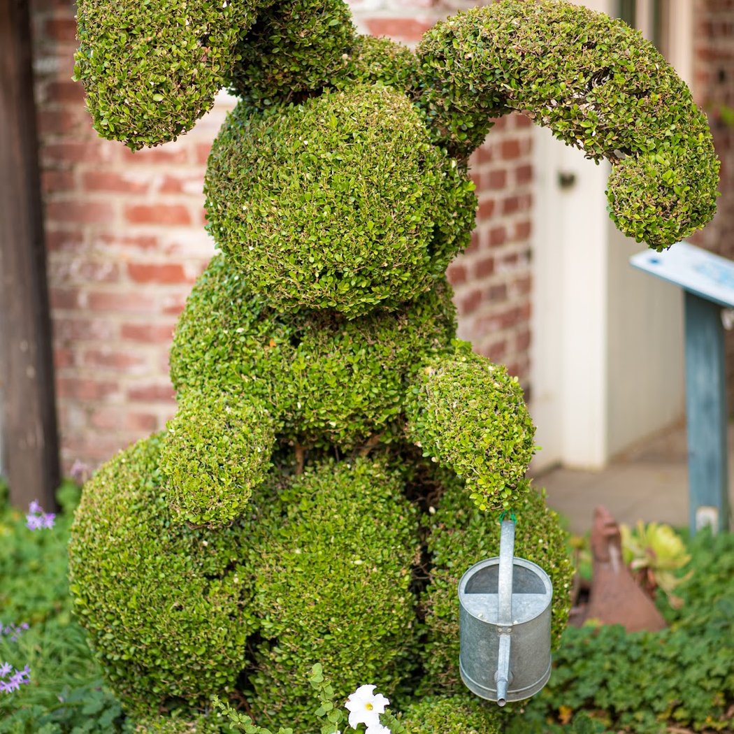 Gardeners' Hour: January 3
