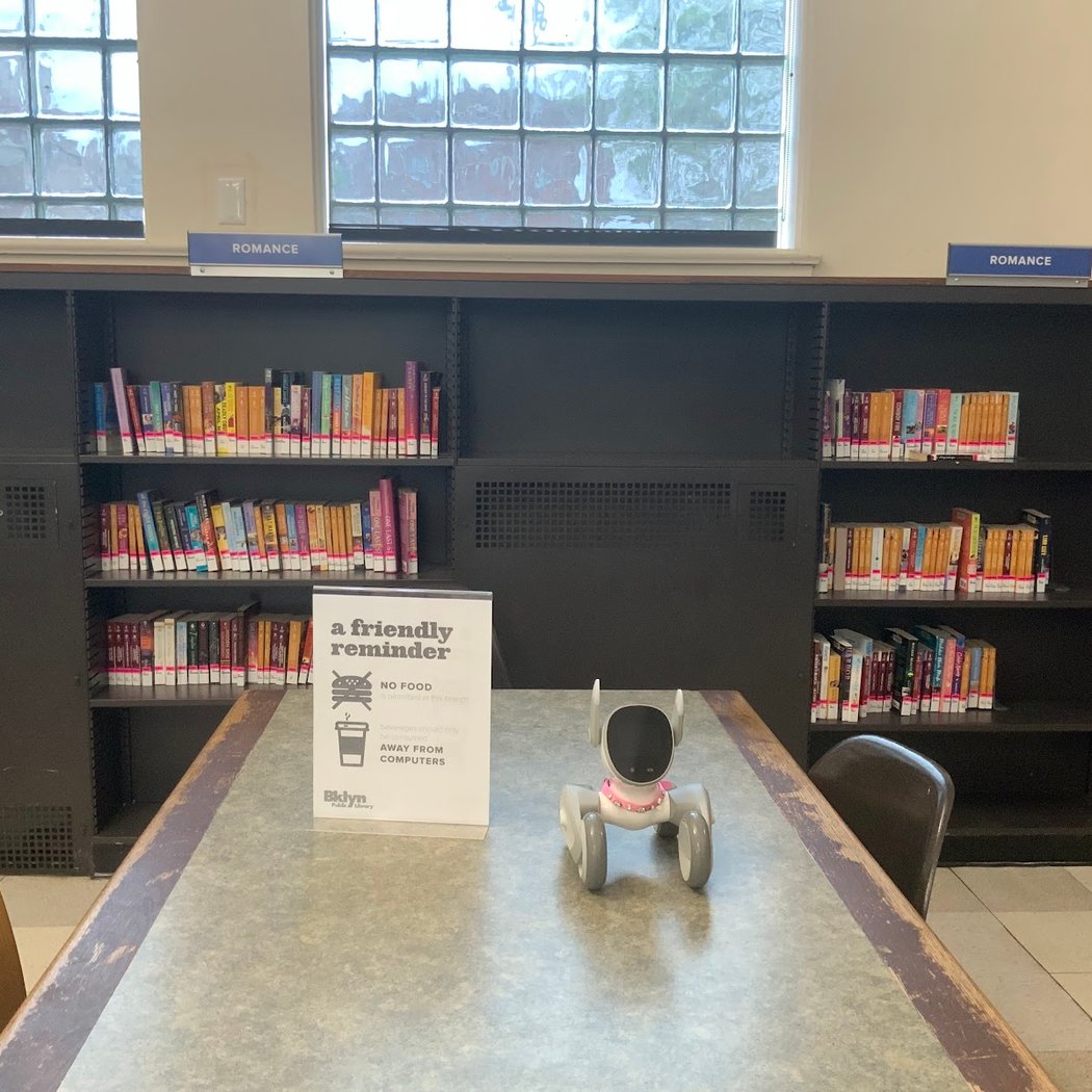 Brooklyn Public Library - Flatbush Branch 3