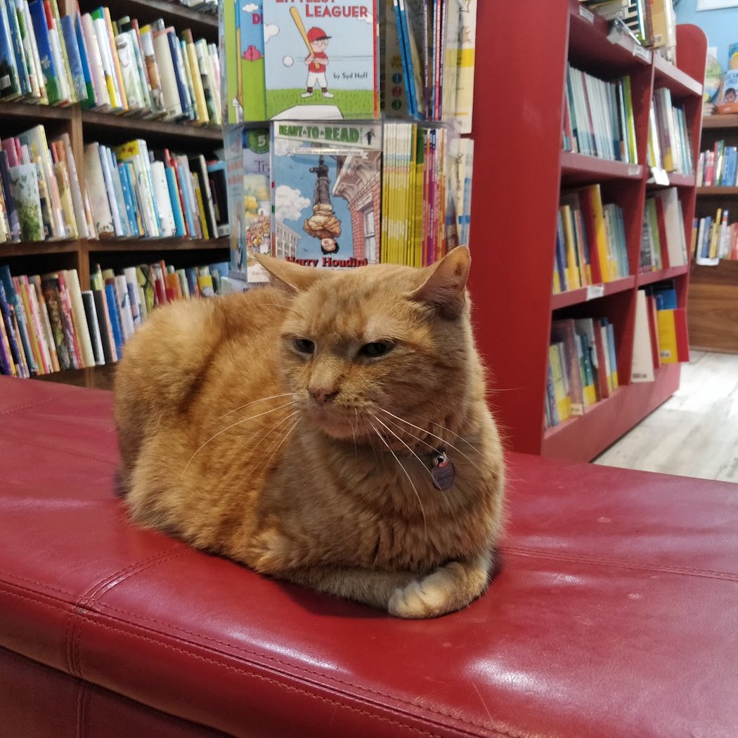 Story Time + Book Signing 1