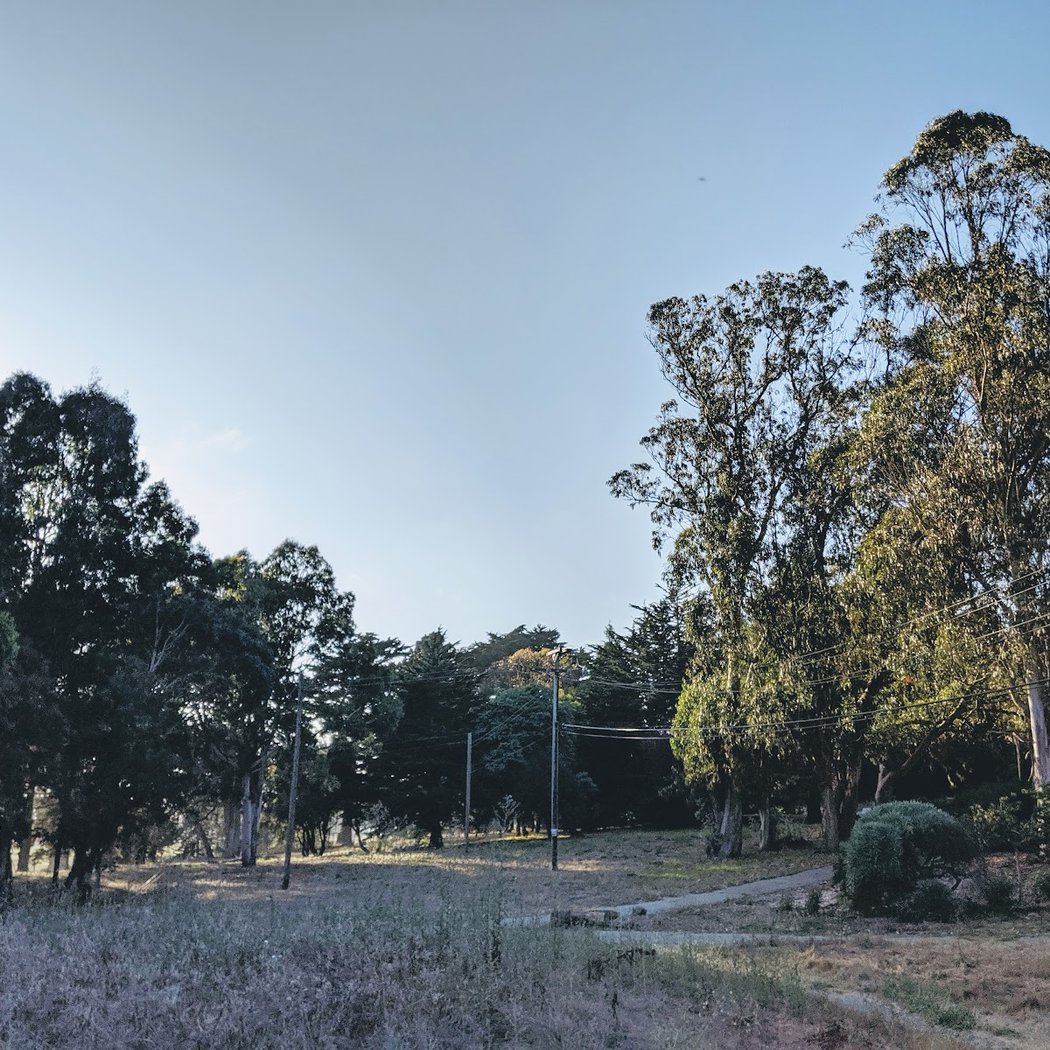 McLaren Park Dog Play Area 3