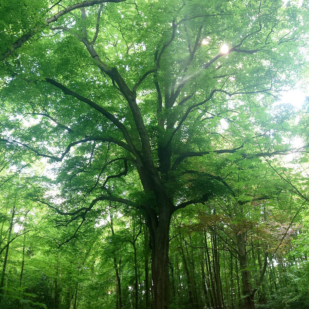 Parc des Tourelles 3