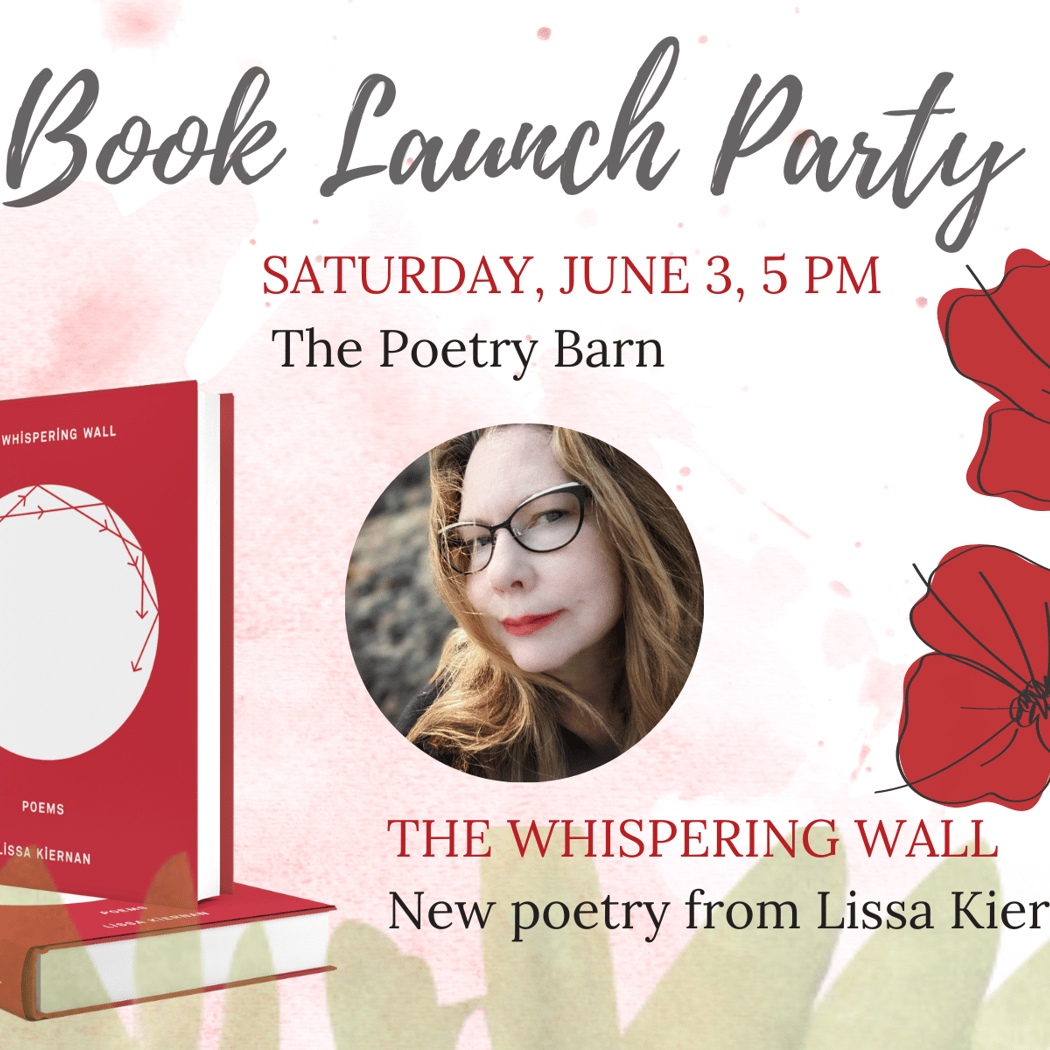 Book Launch Party 1