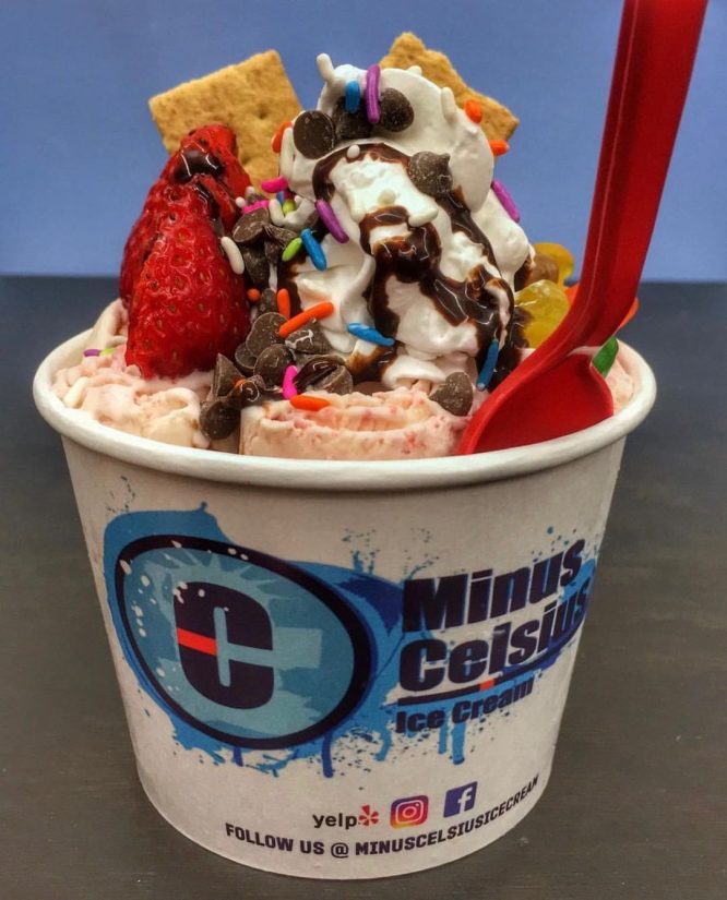 Minus Celsius Ice Cream 2