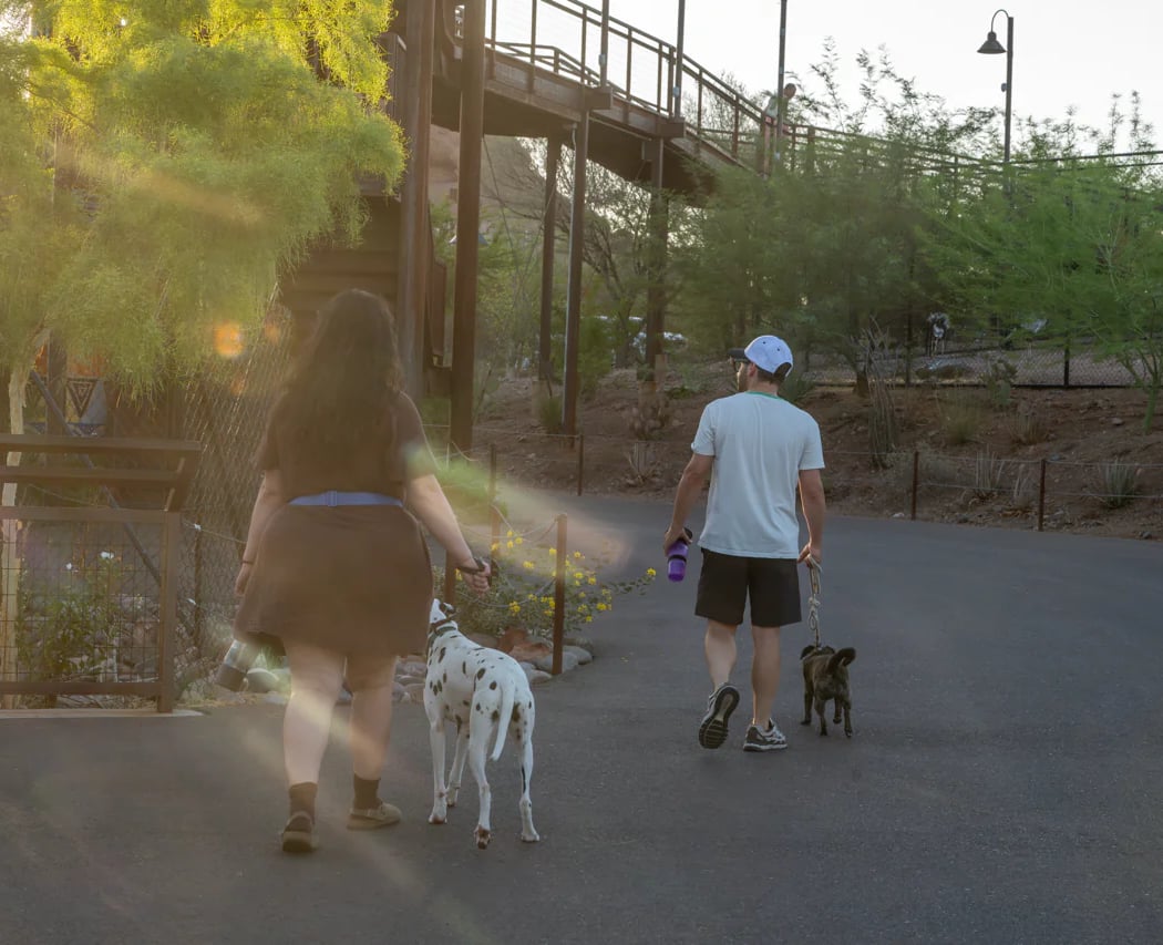 Tails on the Trails 3