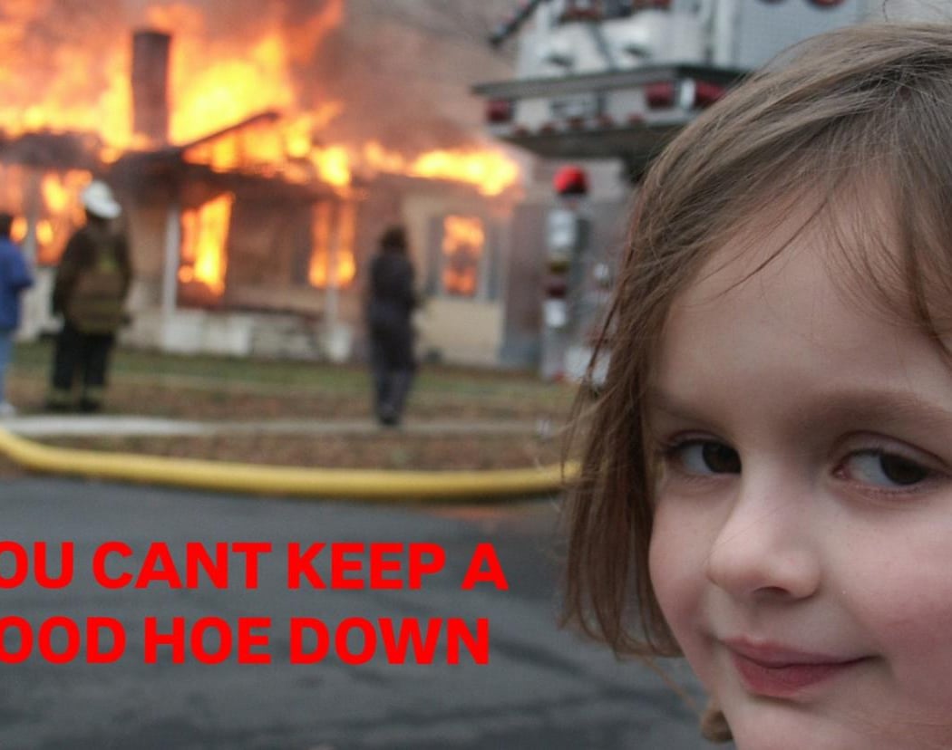 You Can't Keep A Good Hoe Down 1