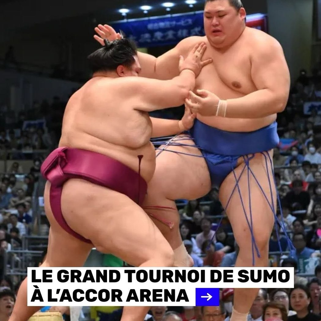 Tournoi de Sumo 1