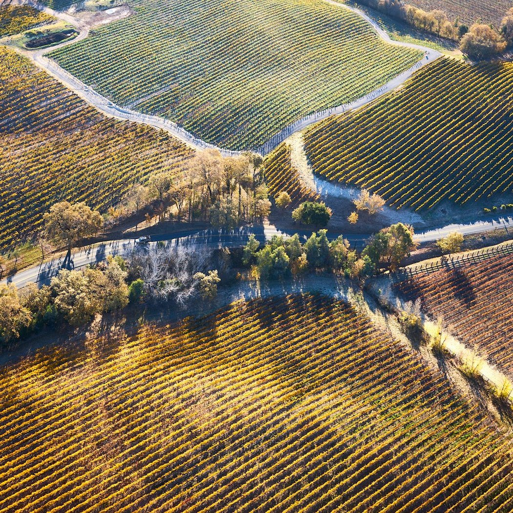 Wine Country Balloons 3