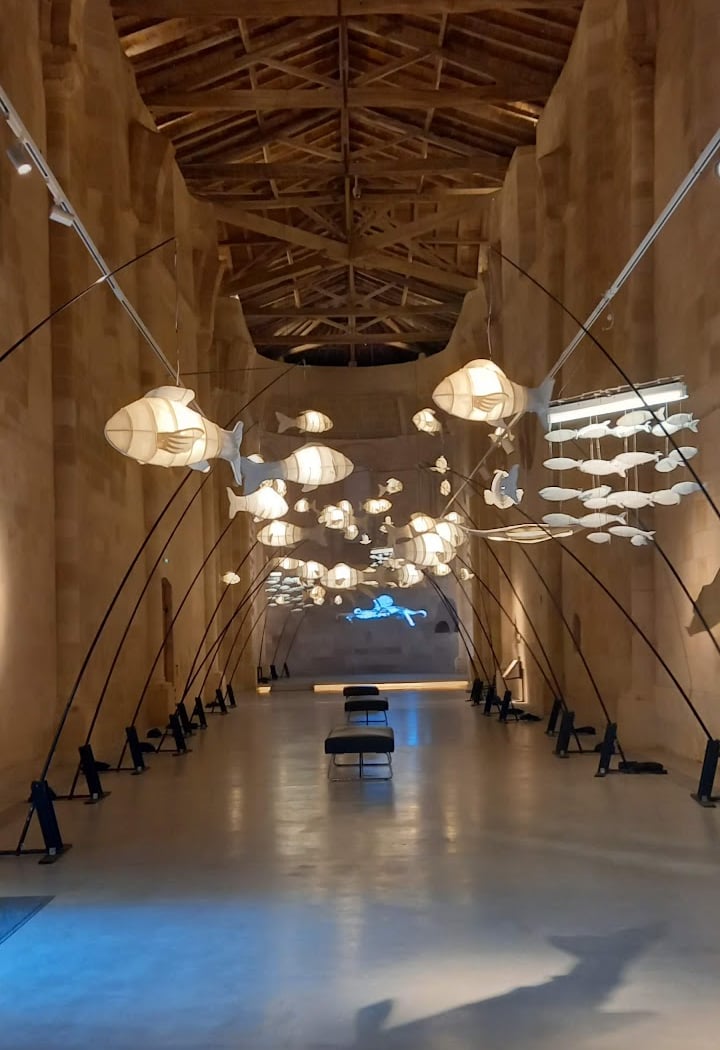 Abbaye d'Arthous 1
