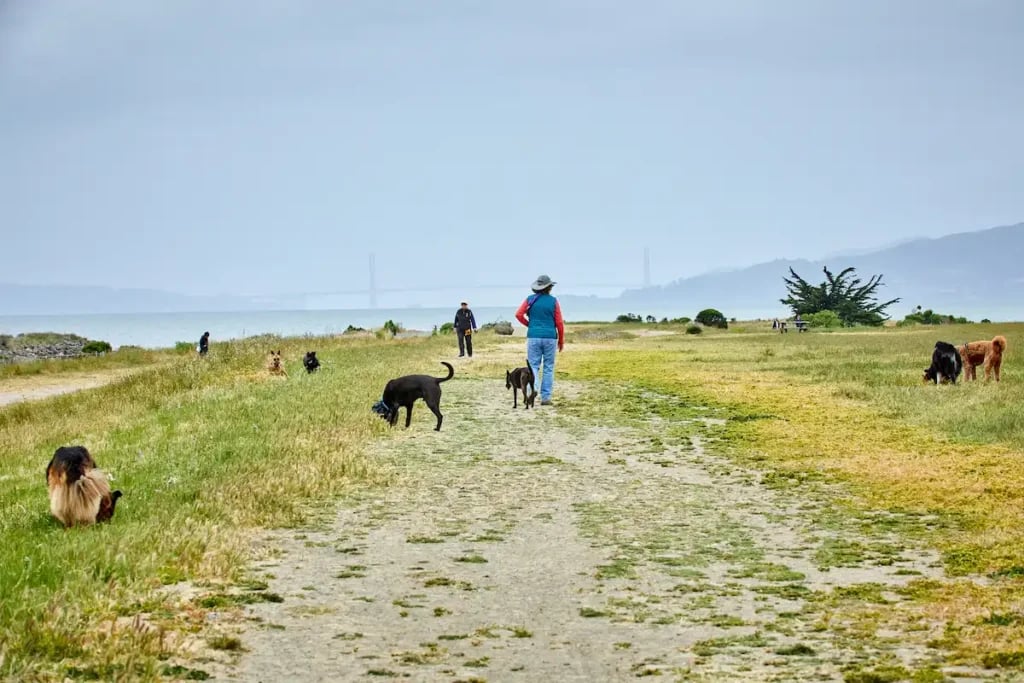 Point Isabel Regional Shoreline 1