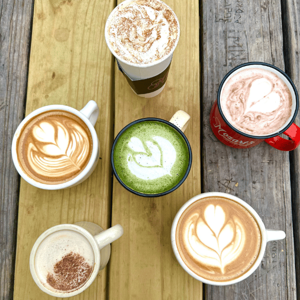Mozart's Coffee Roasters 1