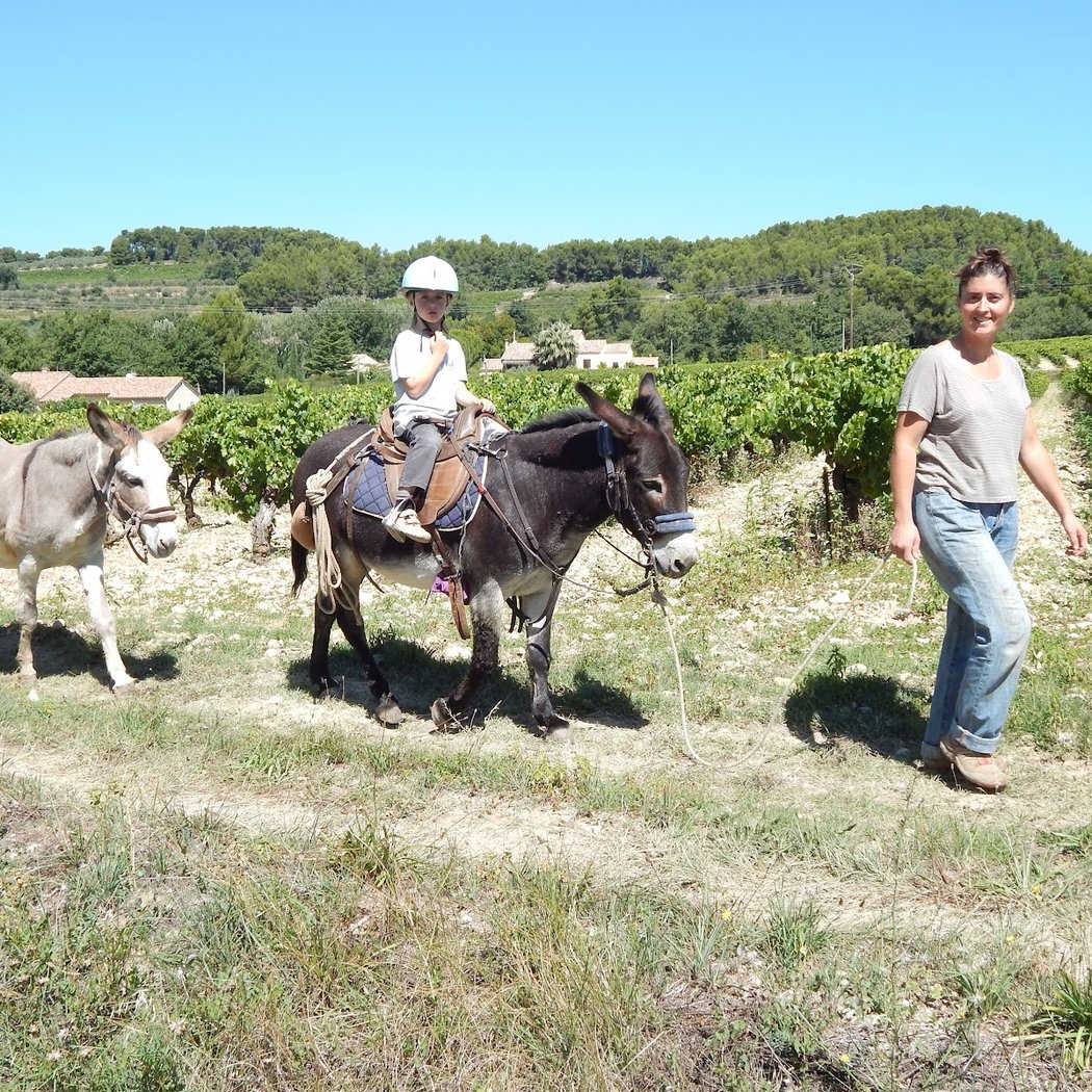 domaine des adrès 1