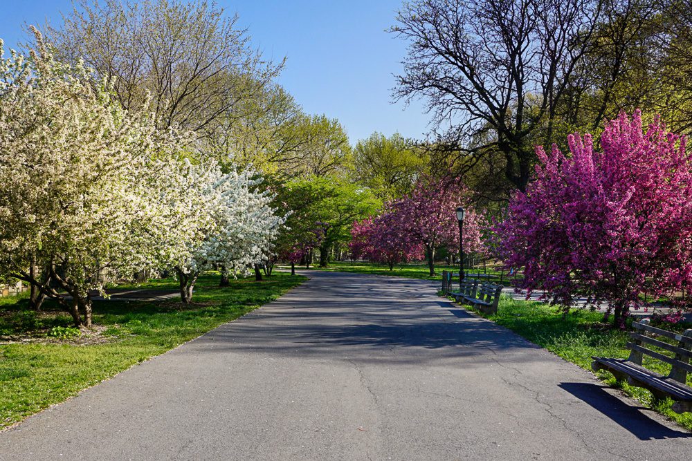 Riverside Park 1