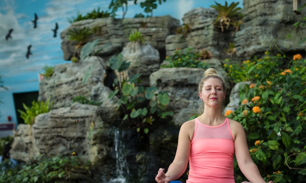 Butterfly Haven Yoga 1