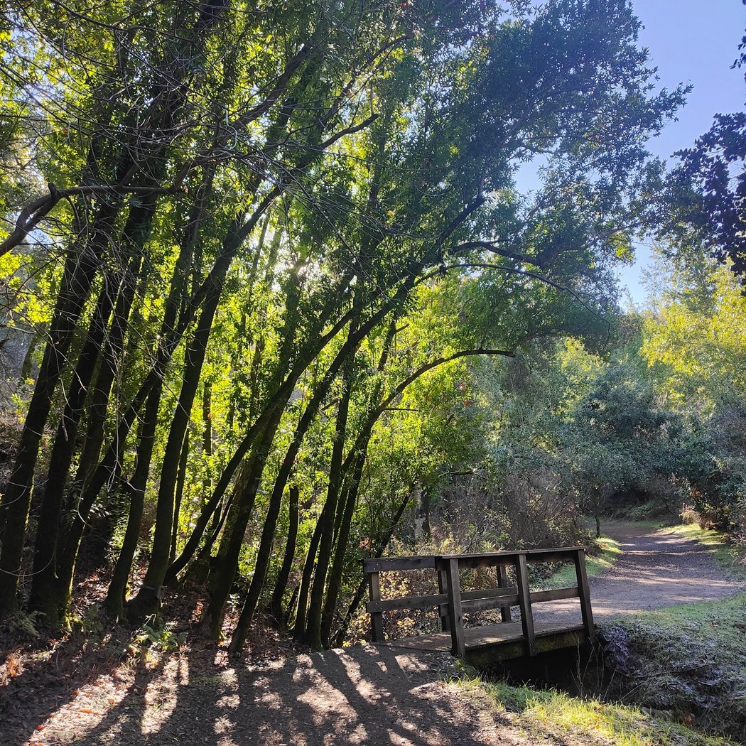 PG&E Trail 1