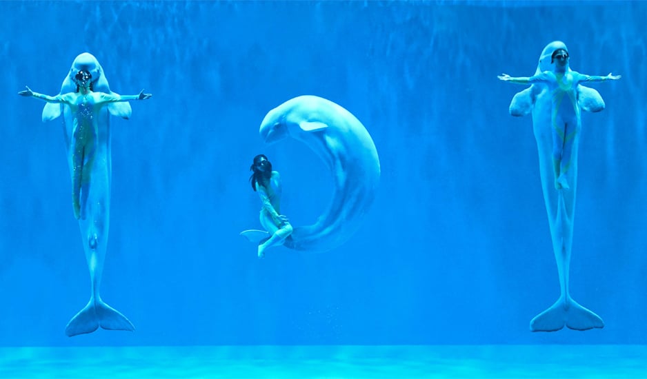 Harbin Polarland 2