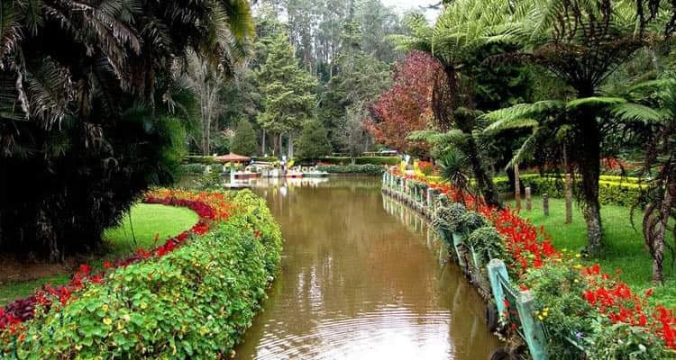 Coonoor 3