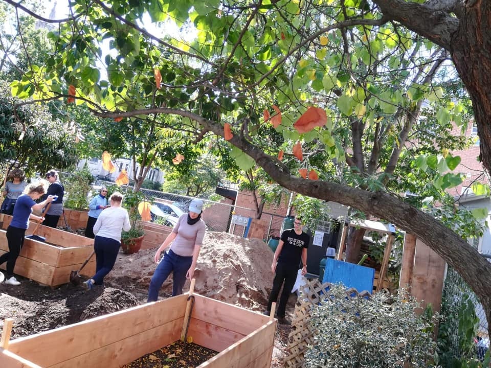 Newkirk Community Garden 2