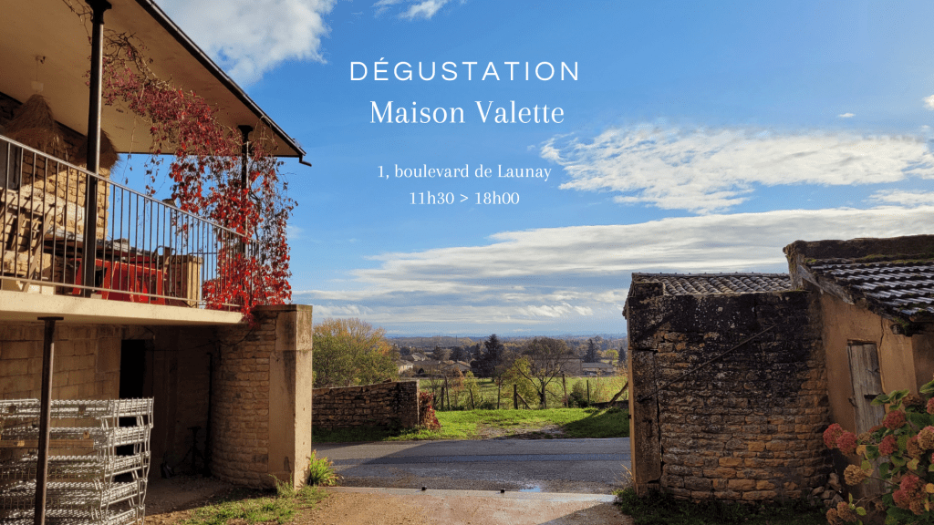Dégustation de Mâcon-Chaintré 1