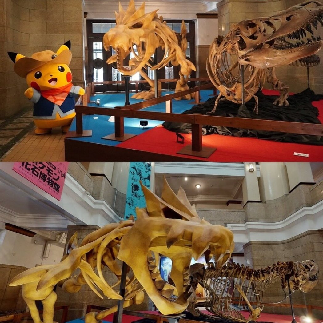 Pokémon Fossil Museum