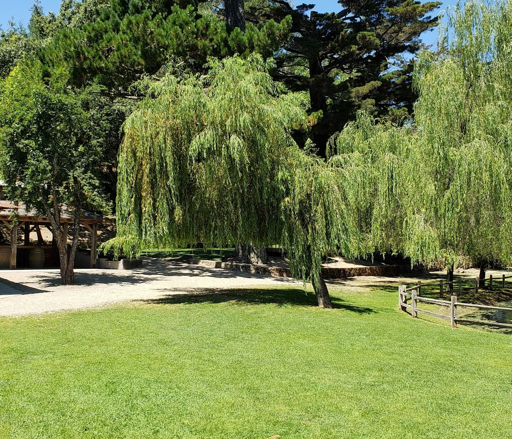 Radonich Ranch 2