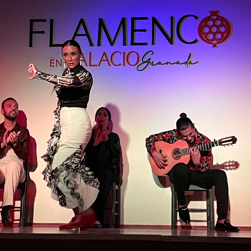 Palacio Flamenco Granada 3