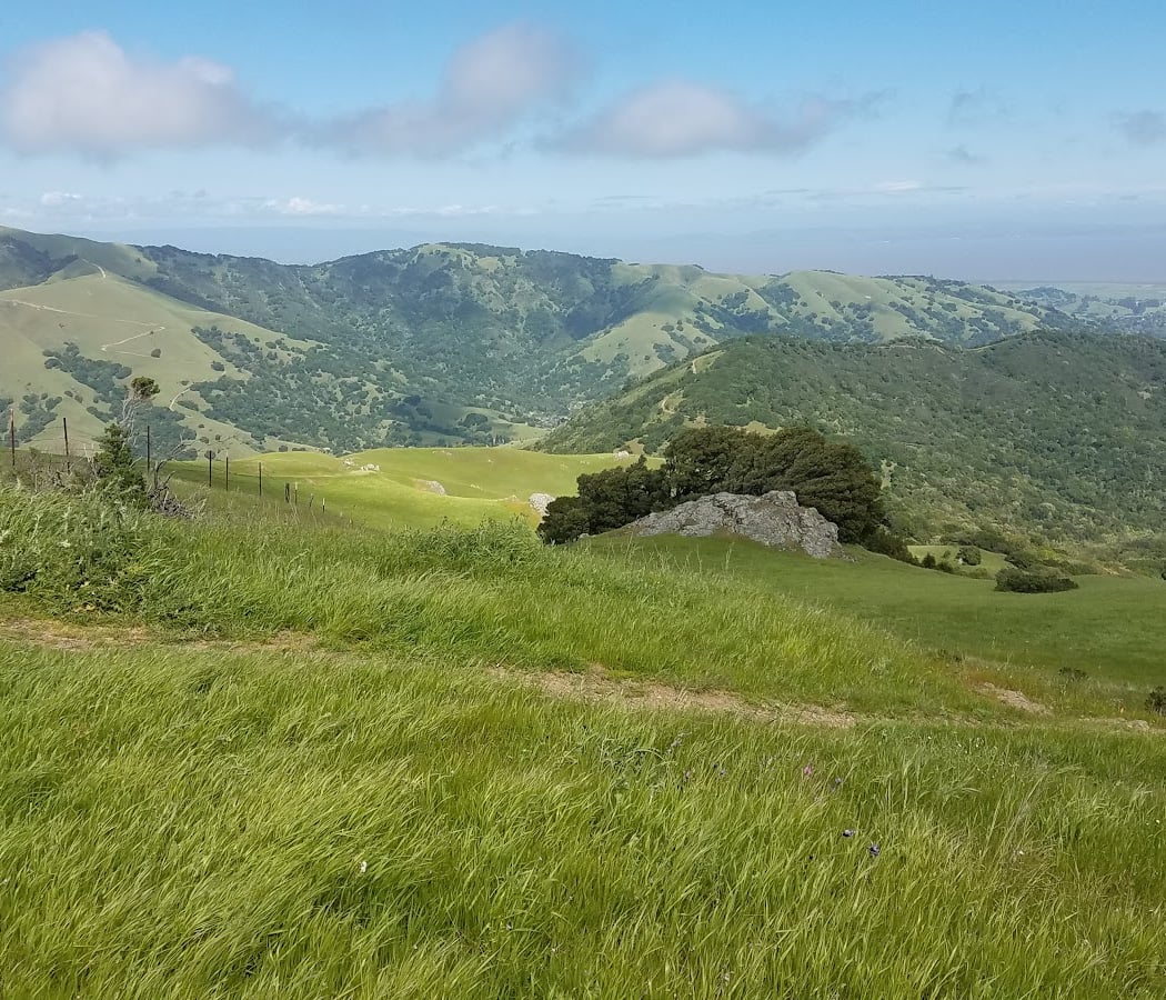 Loma Alta Preserve 3