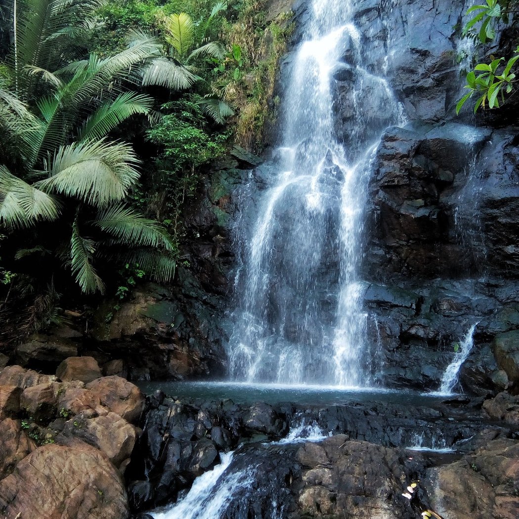 Paithalmala Trek 2
