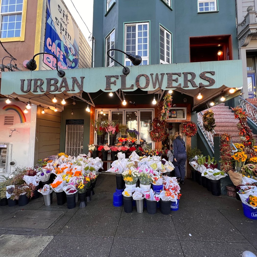 Urban Flowers 3