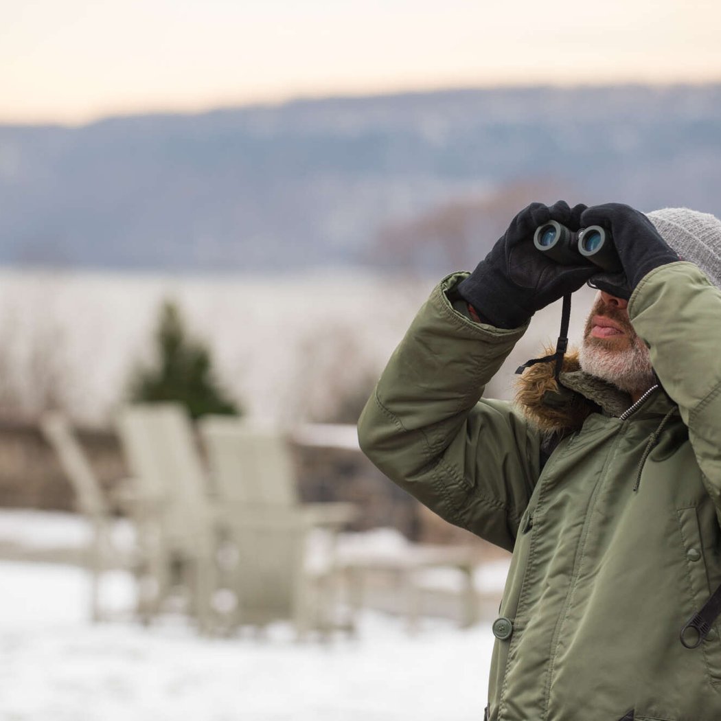 Winter Birding 1