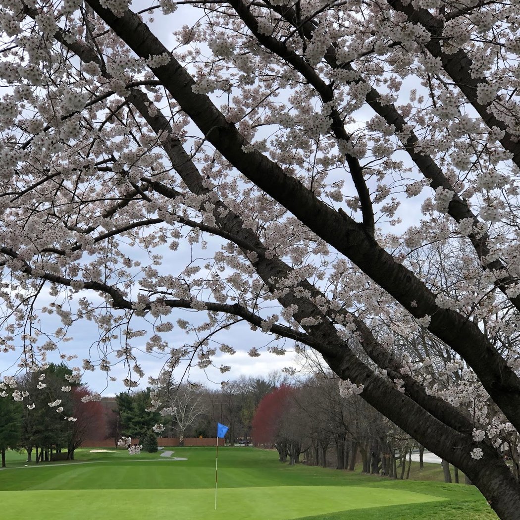 Paramus Golf Course 1