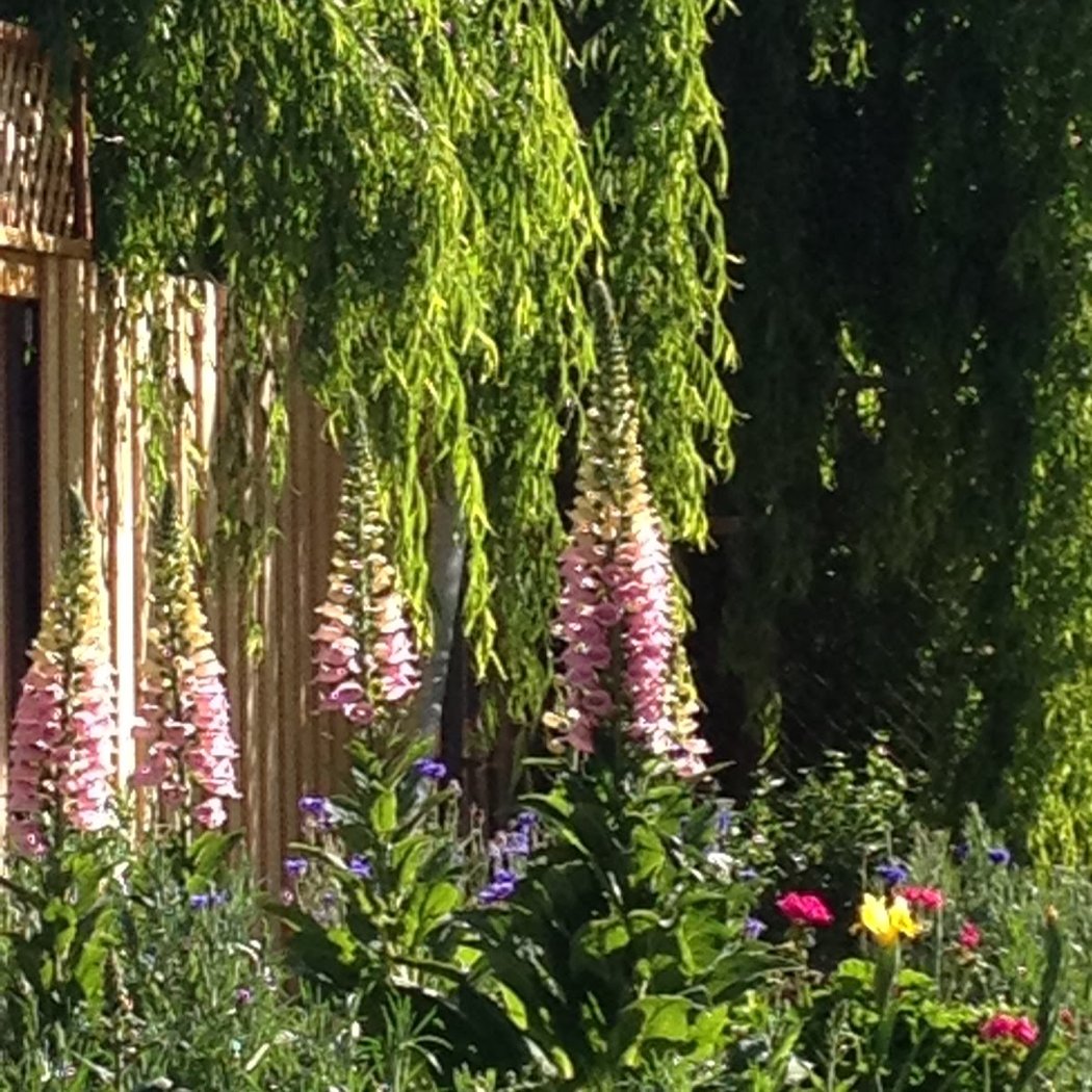 The Art School of Mulford Gardens 2