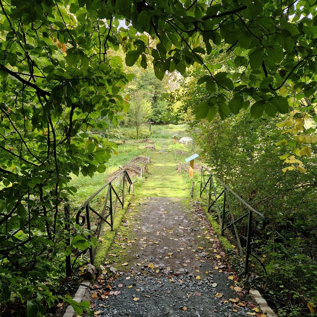 Jean Massart Botanical Garden 2