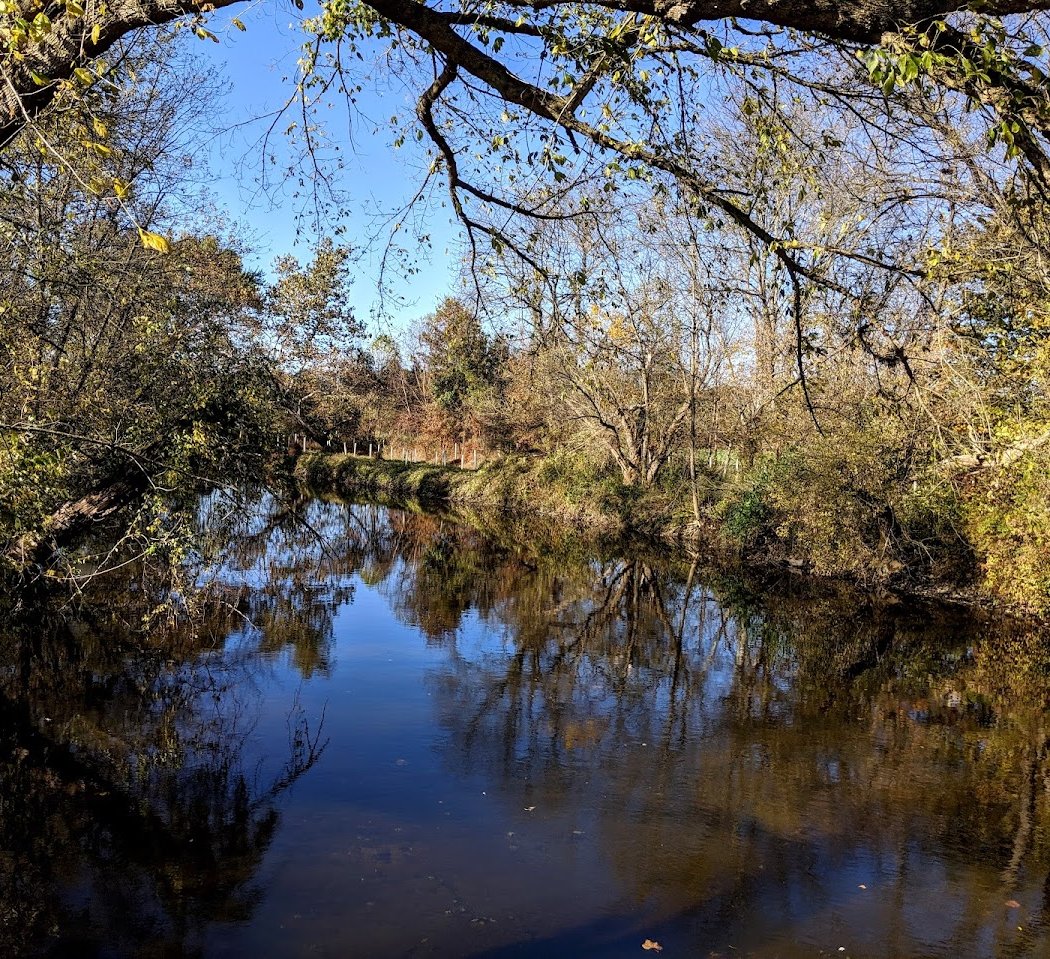Volunteer – Nurture Nature 1