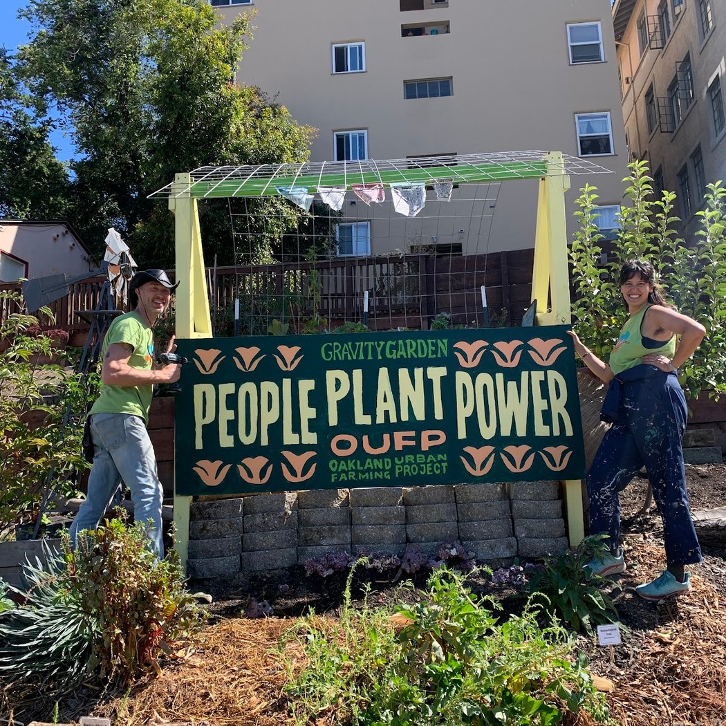 Gravity Garden: Free Pantry / Oakland Urban Garden 1