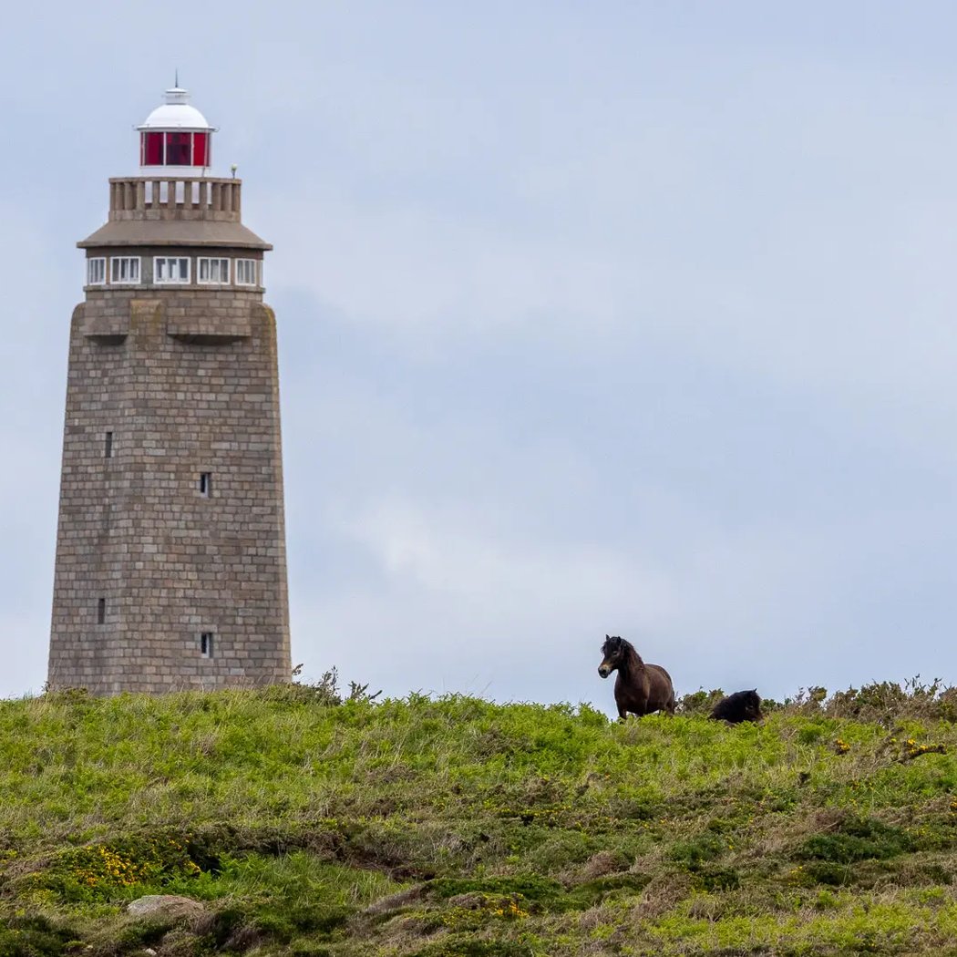 Le Cap Lévi 2