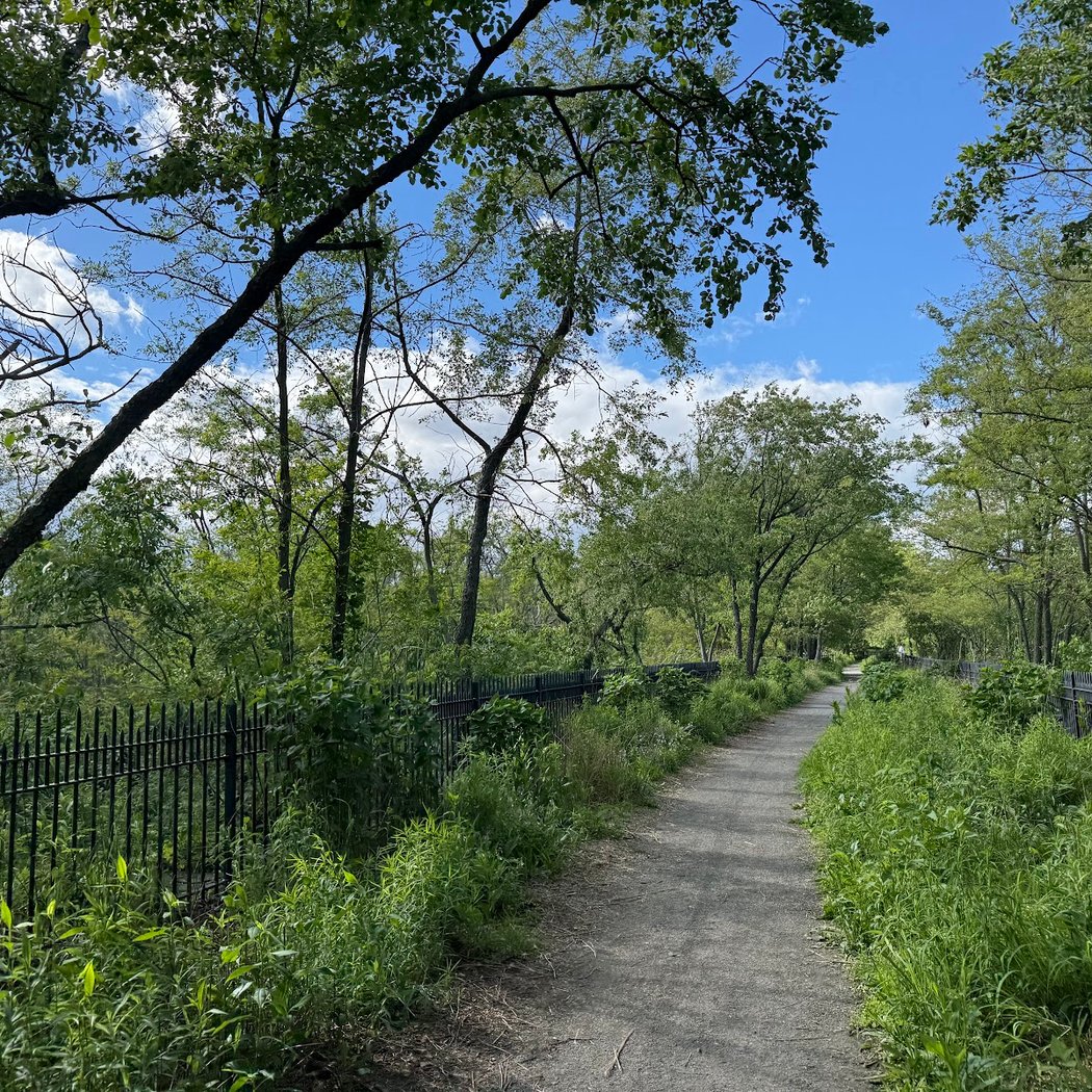 Bat Walk at the Ridgewood Reservoir 4