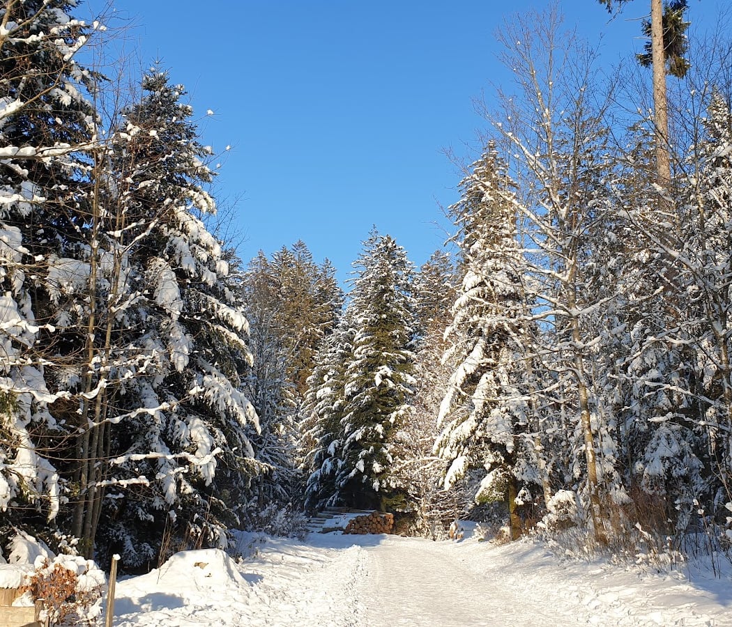 Le Chalet-À-Gobet 3