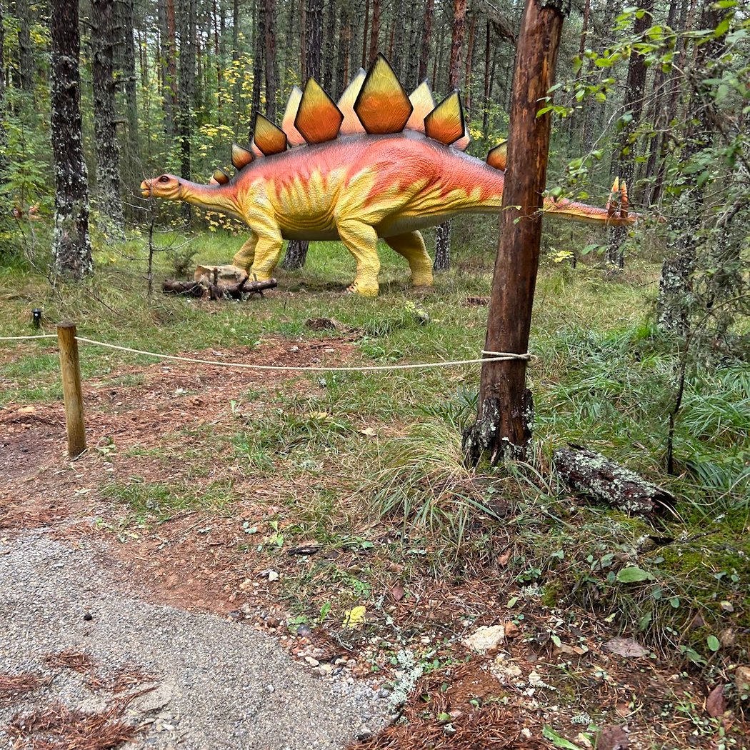 Dinopedia Parc Mende - Lozère 4