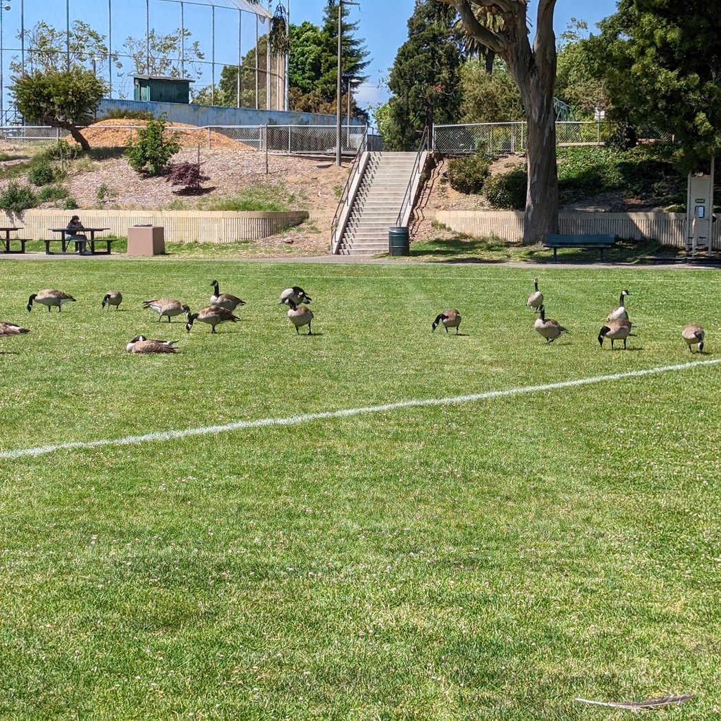 Washington Park 2