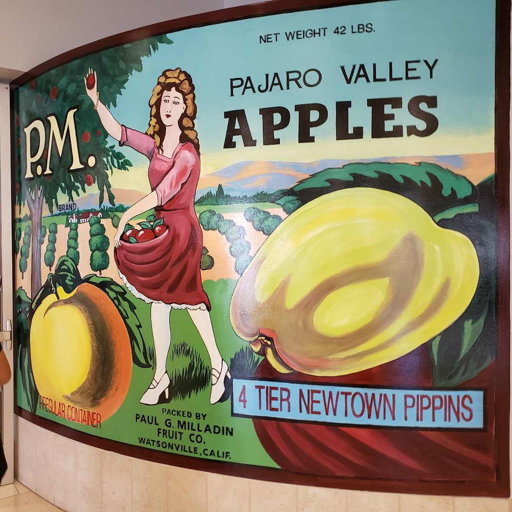Watsonville Public Library 1