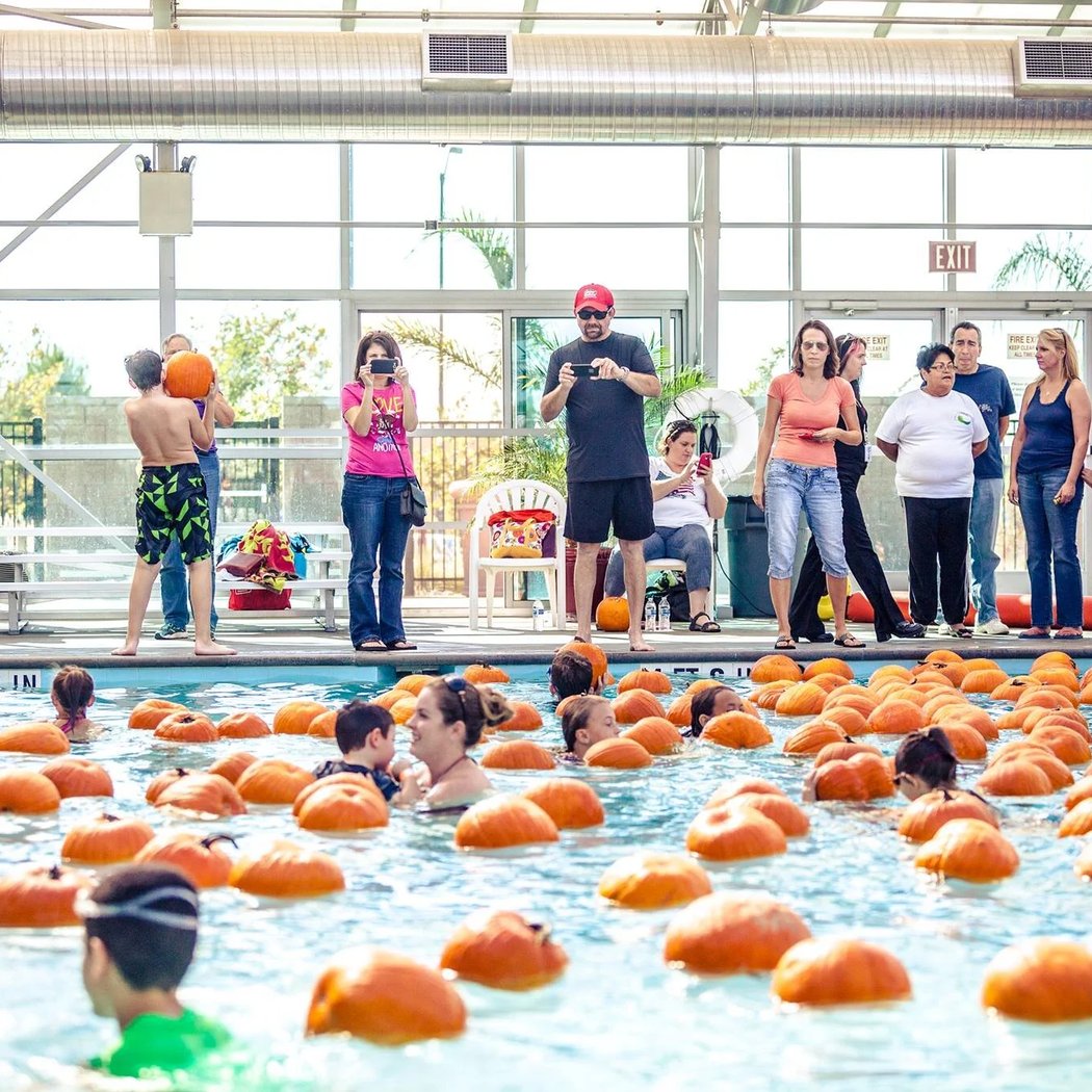 Pumpkin Plunge 3