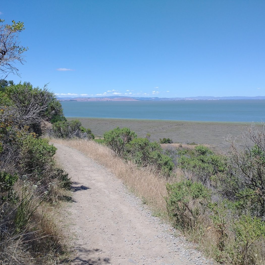 Sky Watch with Marin Stargazers 3
