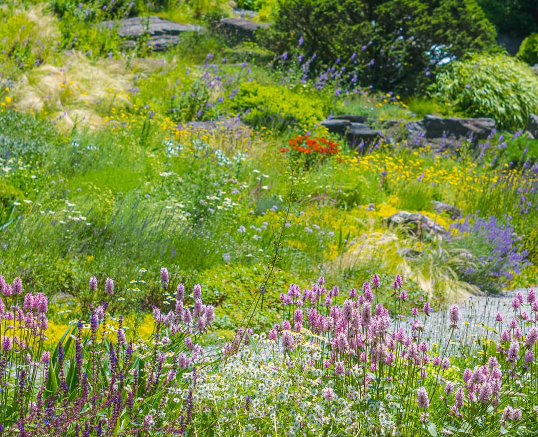 New York Botanical Garden 1