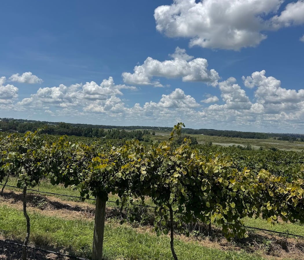 Lakeridge Winery & Vineyards 3