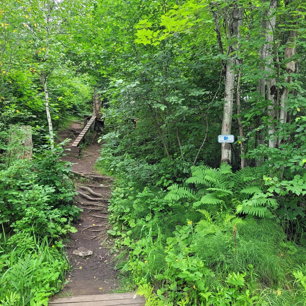 Piste d'hébertisme 3